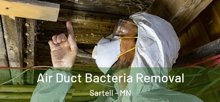  Air Duct Bacteria Removal Sartell - MN