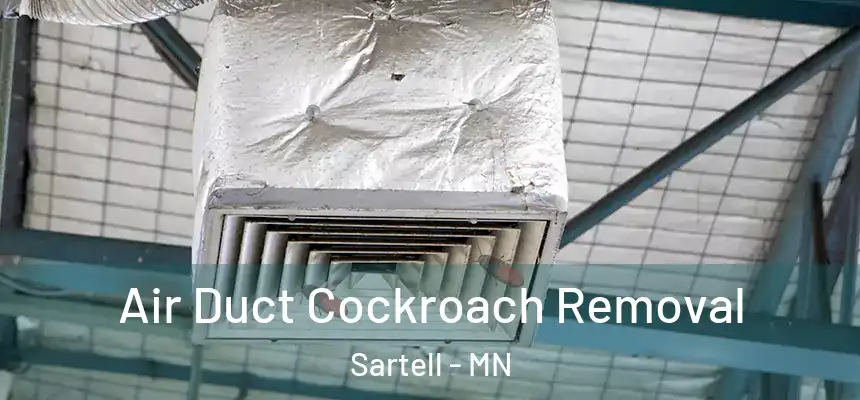  Air Duct Cockroach Removal Sartell - MN