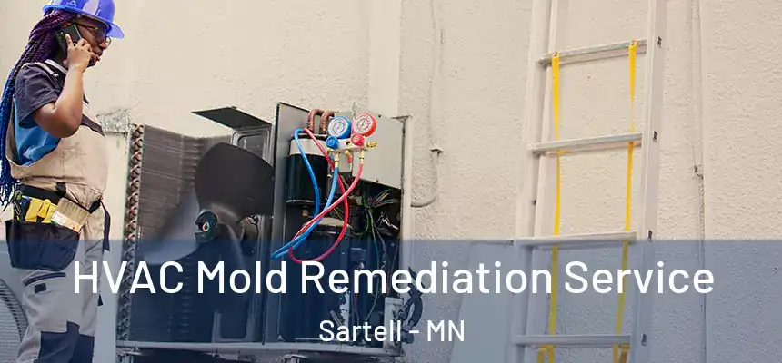  HVAC Mold Remediation Service Sartell - MN