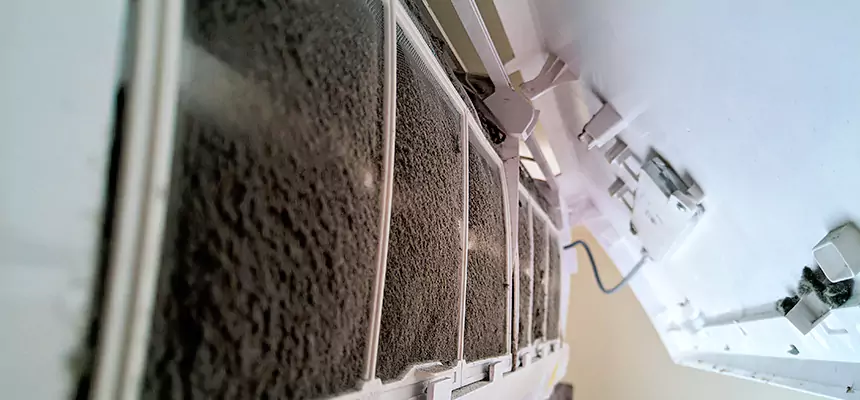 Preventive Air Duct Bacteria Removal in Sartell