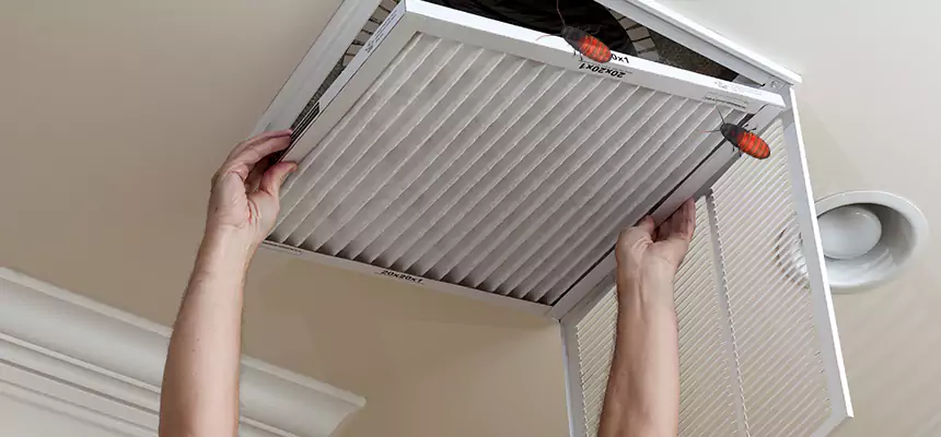 Preventive Cockroach-Proofing for Ducts in Sartell