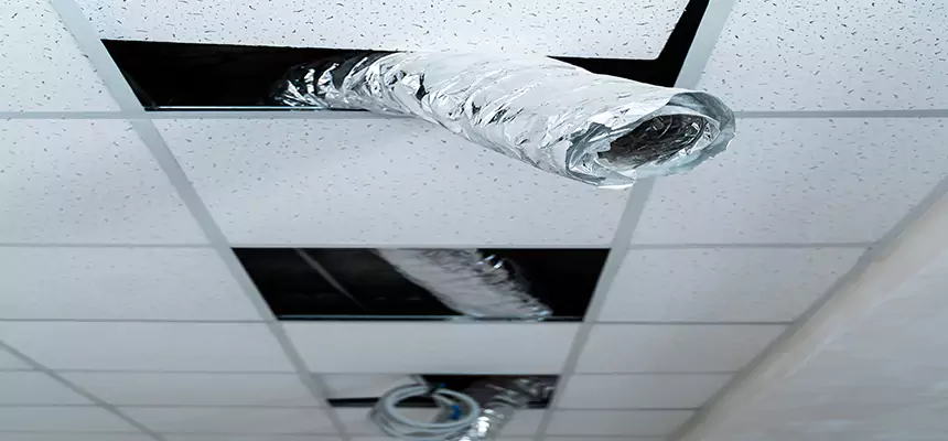 Our Air Duct Pet Hair Removal Services in Sartell, MN