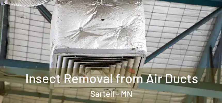  Insect Removal from Air Ducts Sartell - MN