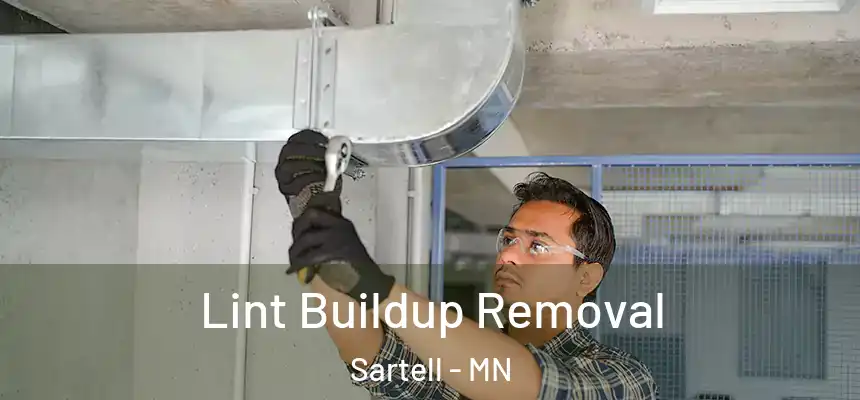  Lint Buildup Removal Sartell - MN