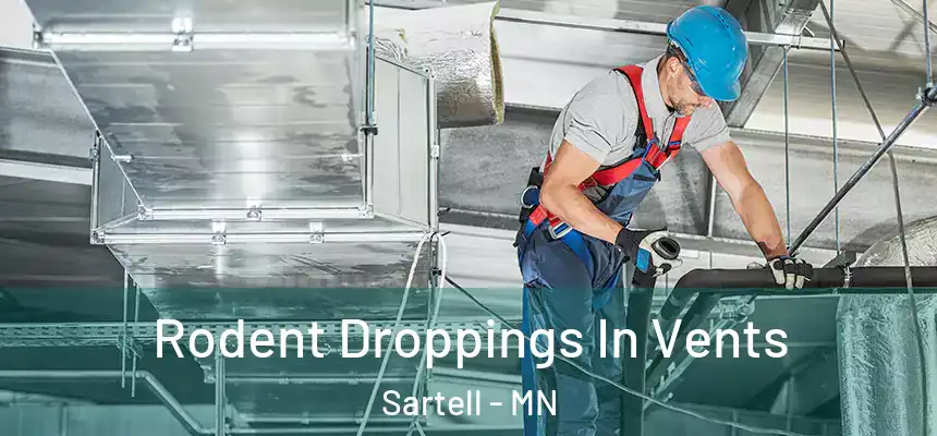  Rodent Droppings In Vents Sartell - MN