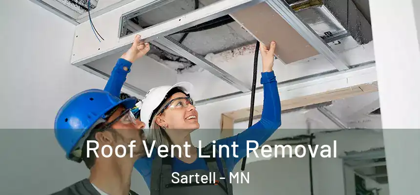  Roof Vent Lint Removal Sartell - MN