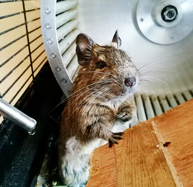 Why Homeowners & Businesses Trust Us Sartell, MN